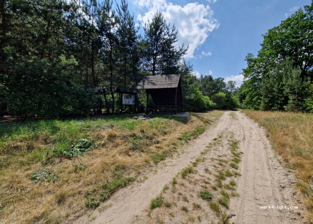 (05-281) Borzymy - 21 Słoneczna — foto 3