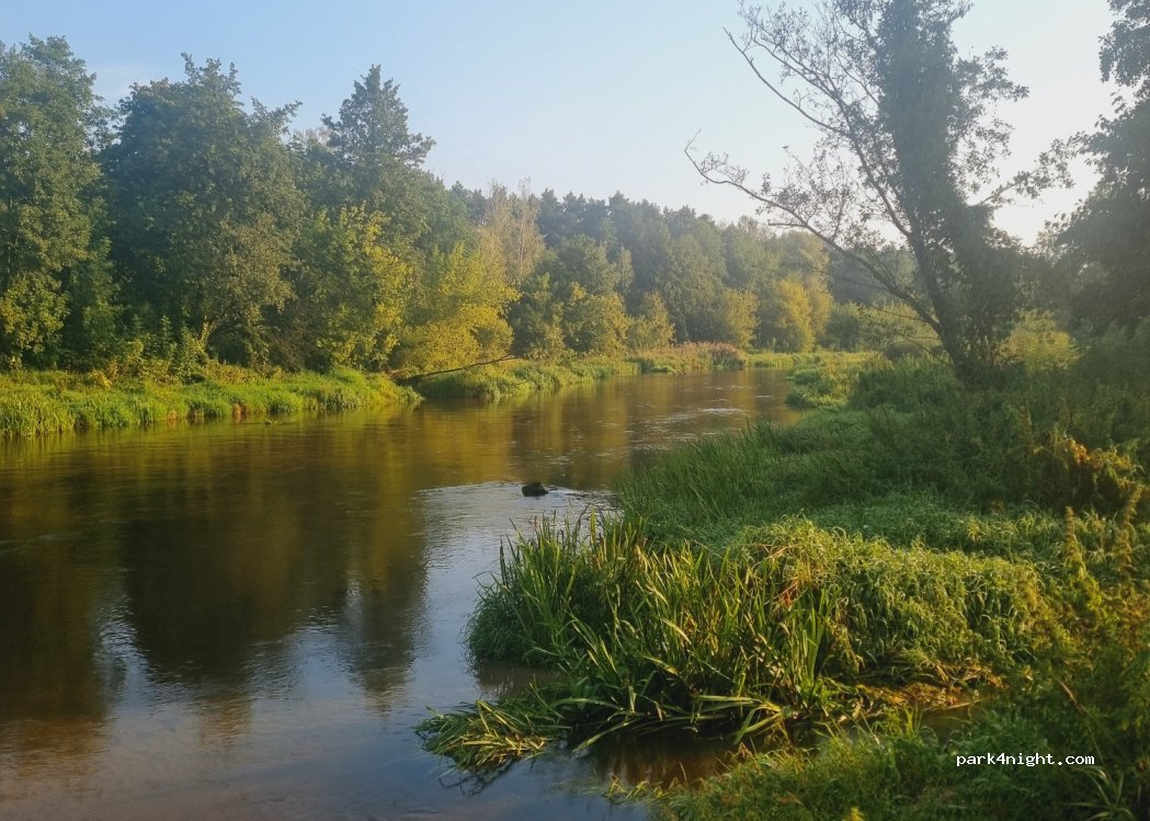 (05-281) Borzymy - 21 Słoneczna — foto 4