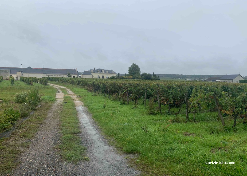 (37140) Saint-Nicolas-de-Bourgueil - 10 Chemin de la Cotelleraie — foto 2