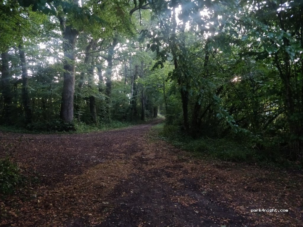 (74910) Bassy - Chemin du Pont de la Craze — foto 3