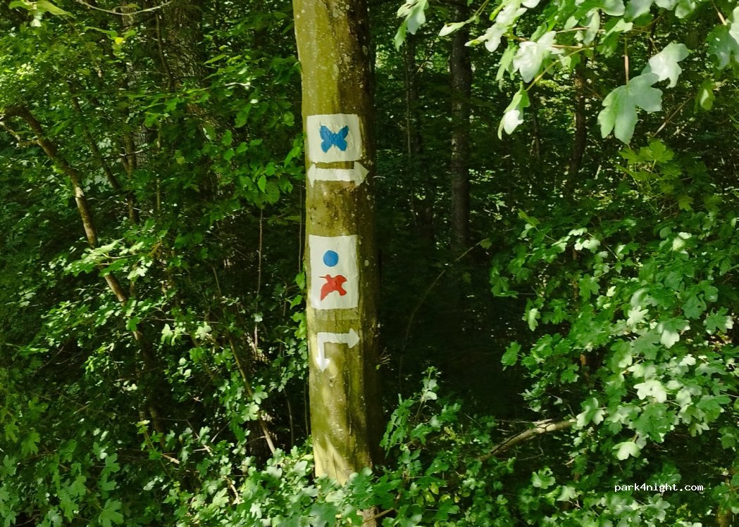 (97209) Veitshöchheim - Steinerner Weg — foto 2