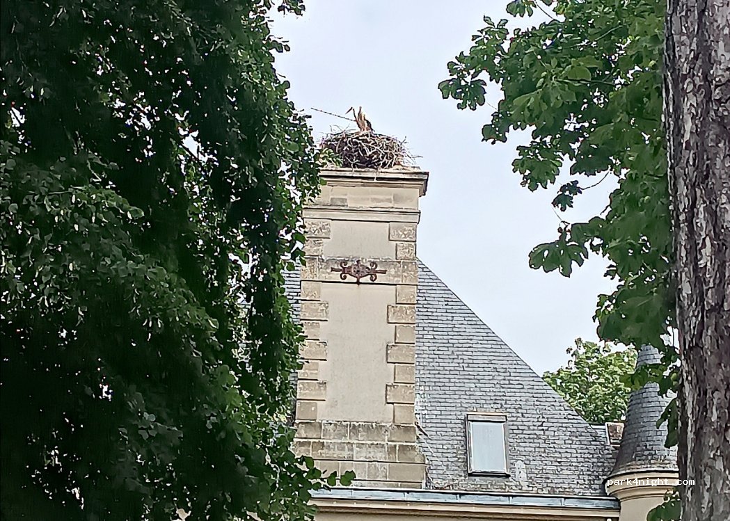 (14670) Janville - 504 Rue de l'Église — foto 4
