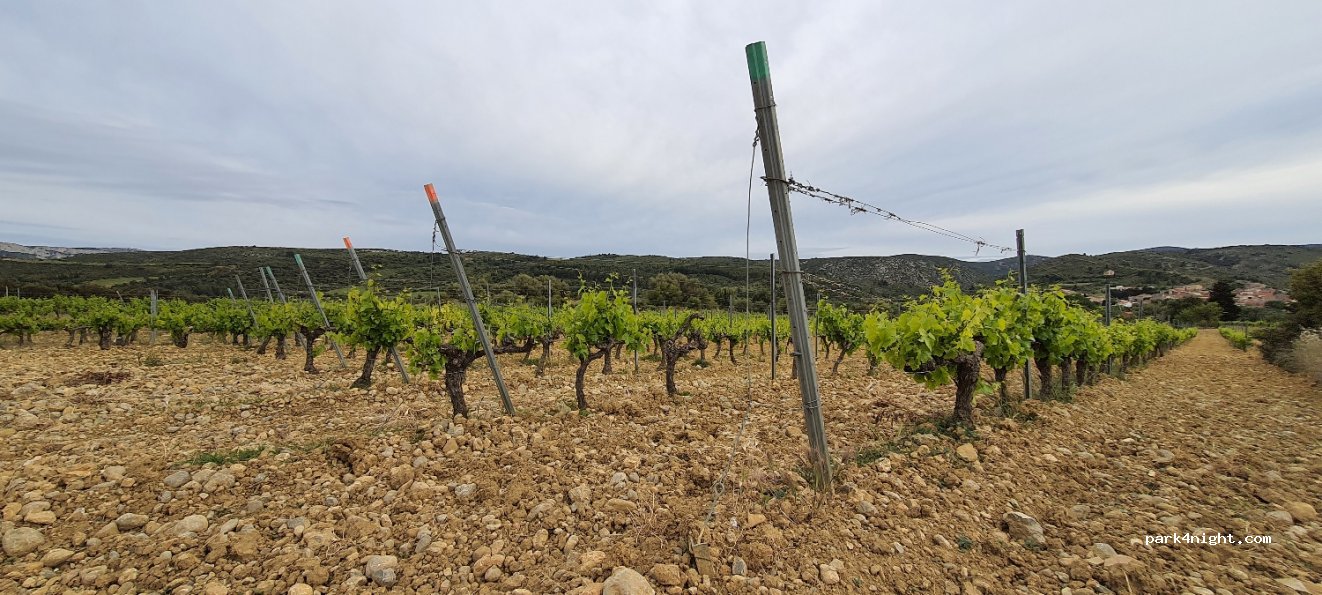 (11350) Paziols - Unnamed Road — foto 3