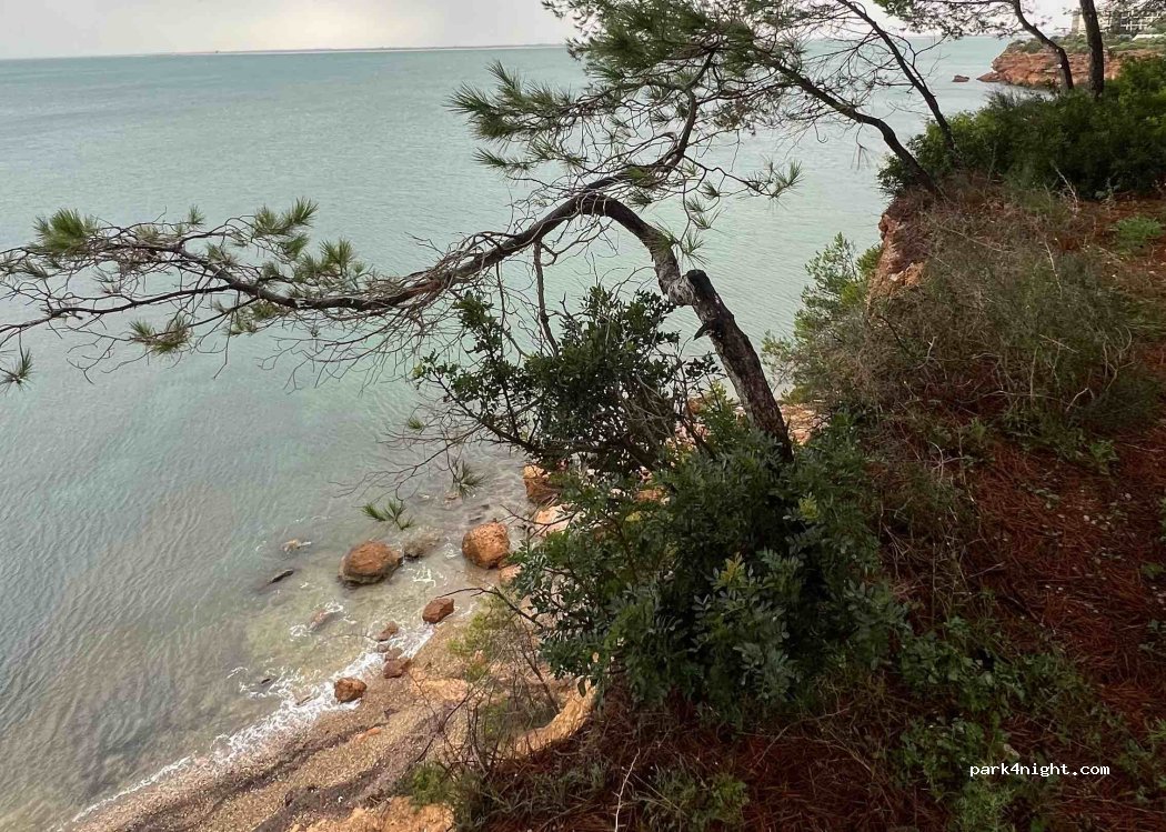 (43895) Cap Roig - 16 Carrer dels Pins — foto 4