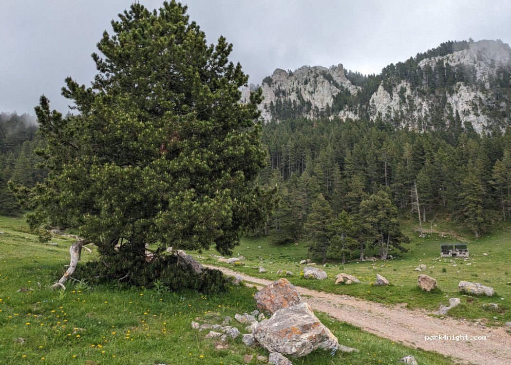 (17537) La Molina - Unnamed Road — foto