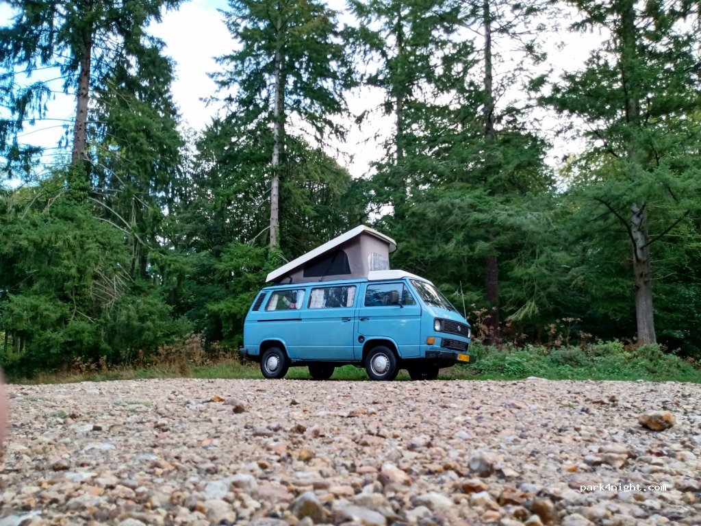 (76940) Vatteville-la-Rue - Route Forestière de la Haie-Aubrée — foto 2