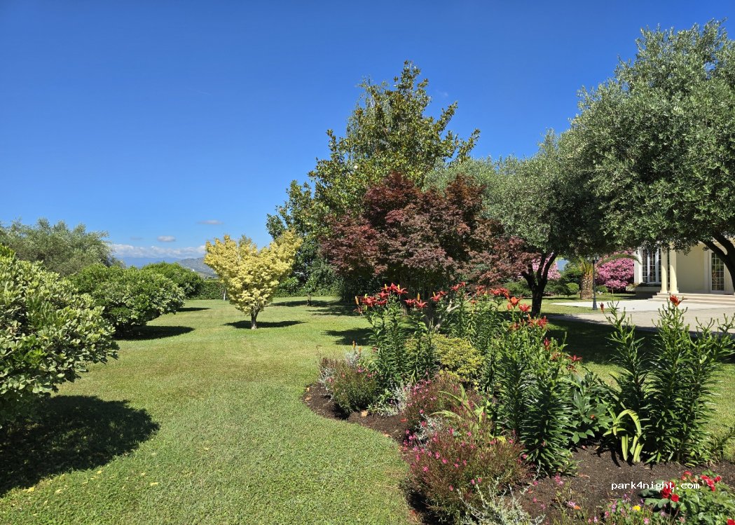 Cem winery and vineyard — foto 3