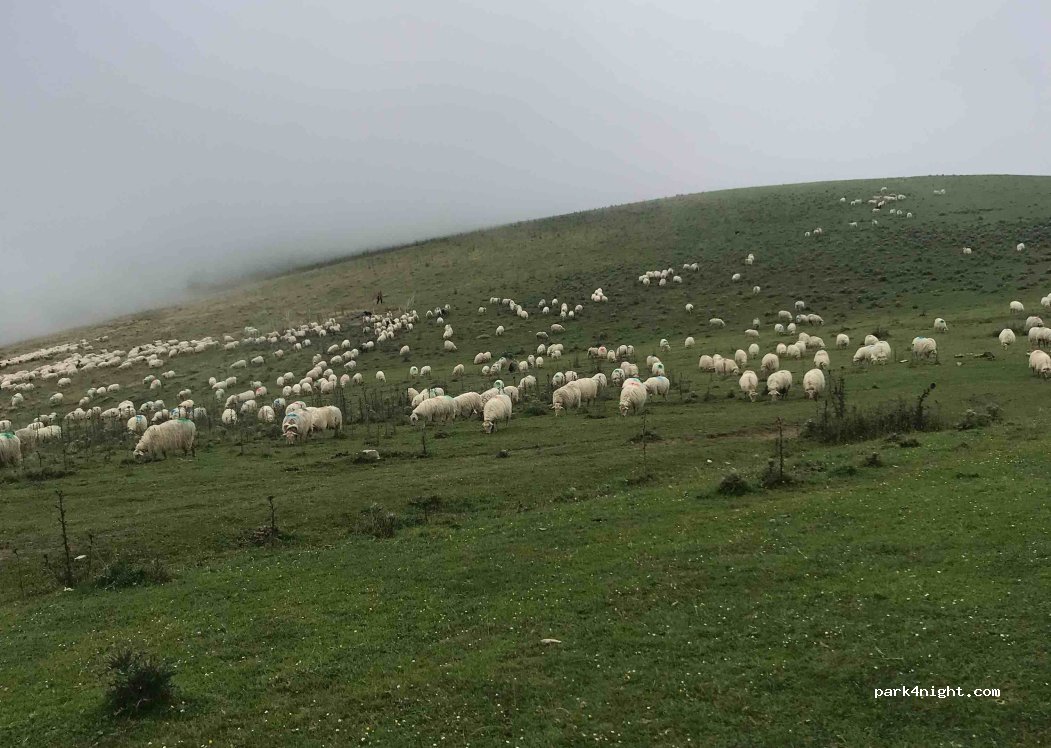 (64560) Larrau - 457 Bürdünolhetako bidea — foto 3
