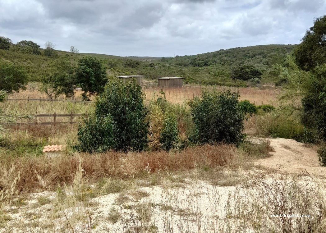 Soul Farm Algarve — foto