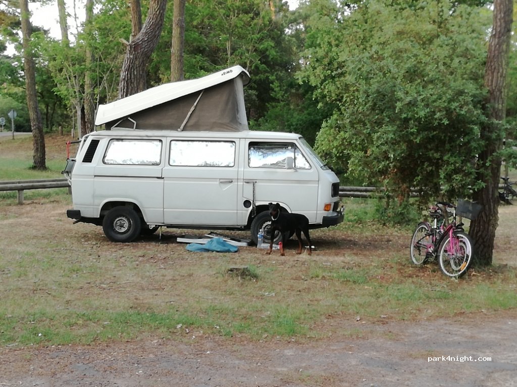 (17390) La Tremblade - Unnamed Road — foto