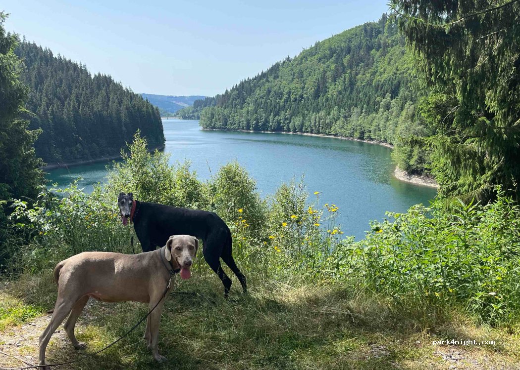 (98667) Schleusegrund - 38 Gabeler Straße — foto 3