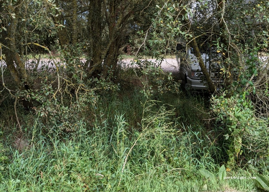 (50620) Carentan-les-Marais - D444 — foto 2
