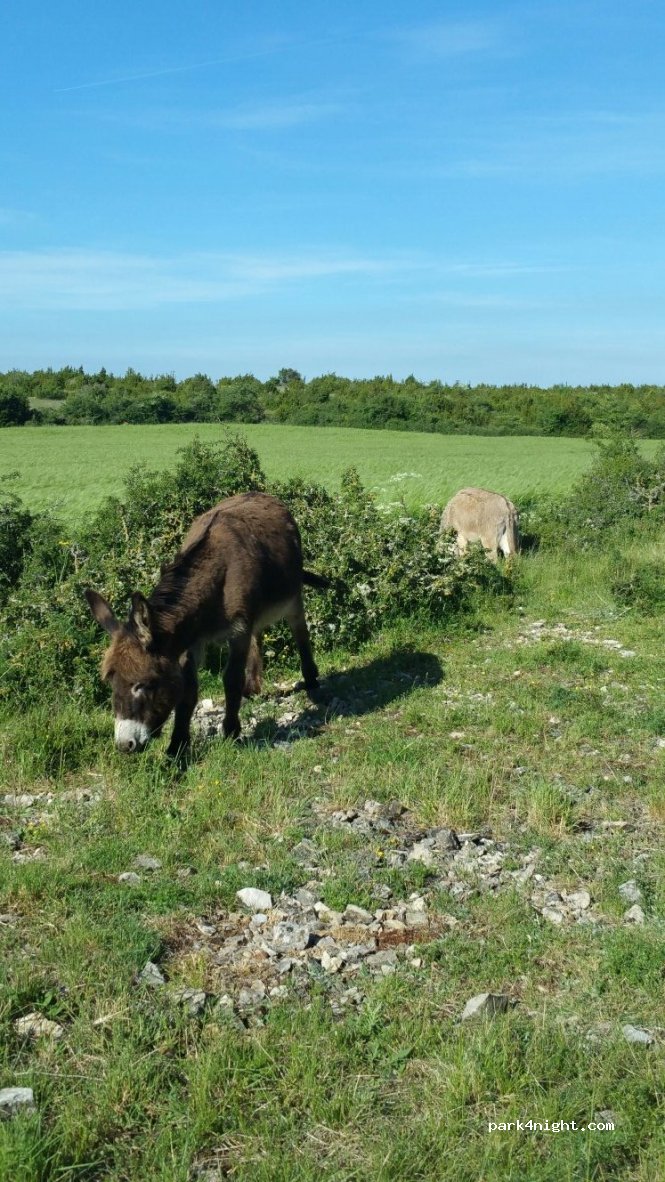 (12230) Nant - Gare Nant Comberedonde — foto 3