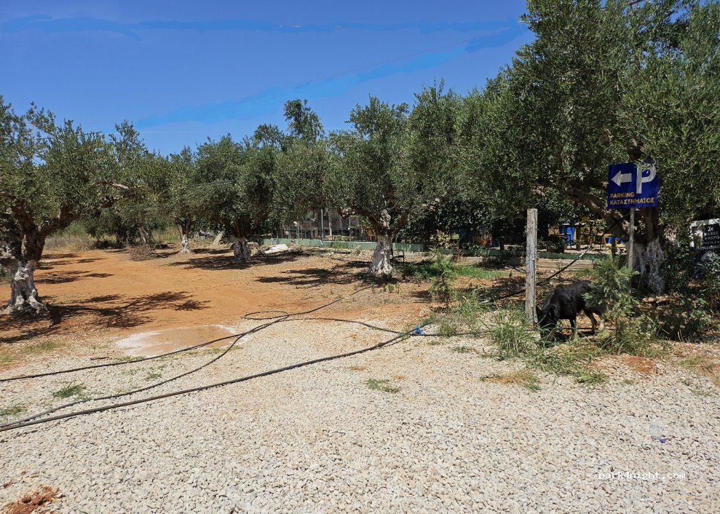 (24300) Filiatra - Filiatra - Christianoupoli — foto 2