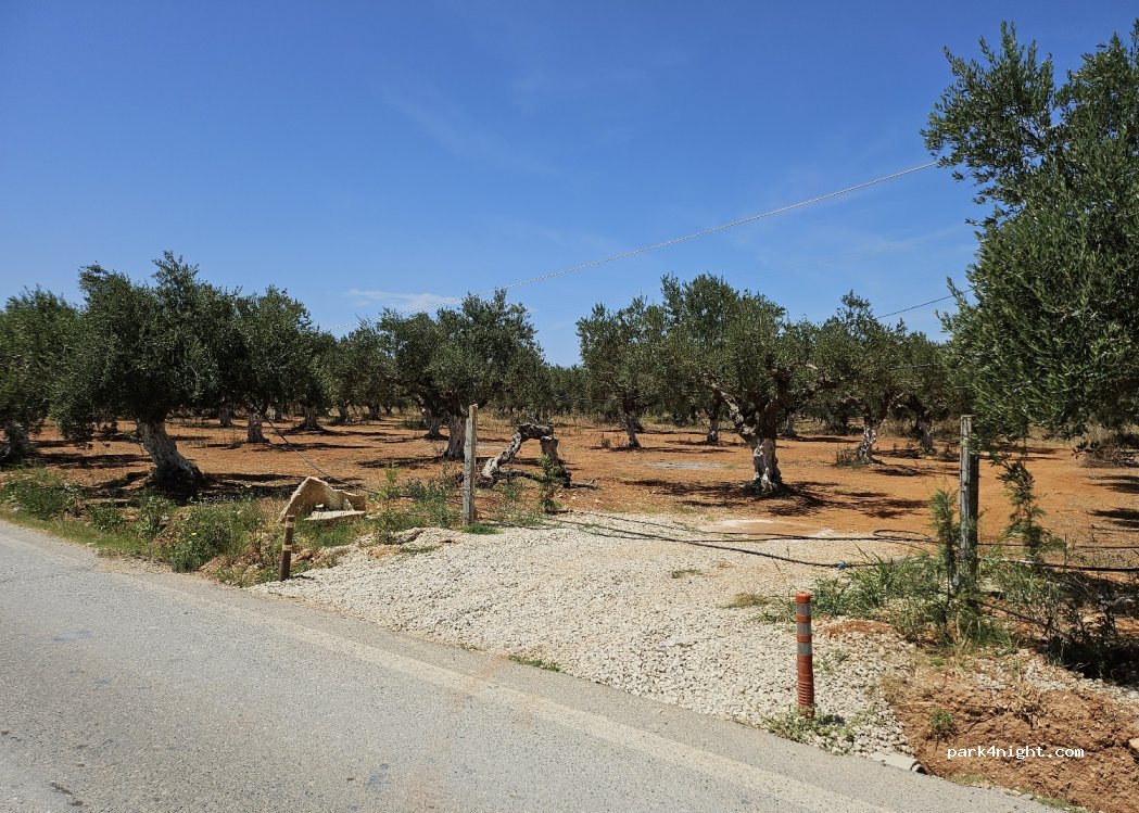 (24300) Filiatra - Filiatra - Christianoupoli — foto 3