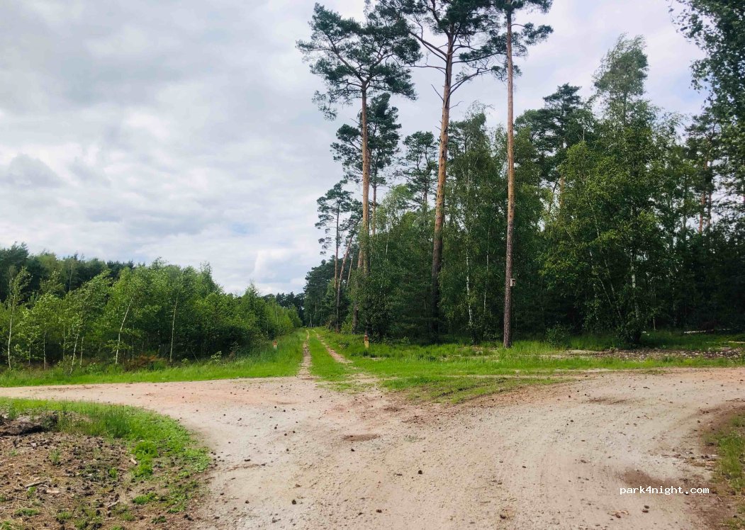 (56-210) Świniary - 36 — foto