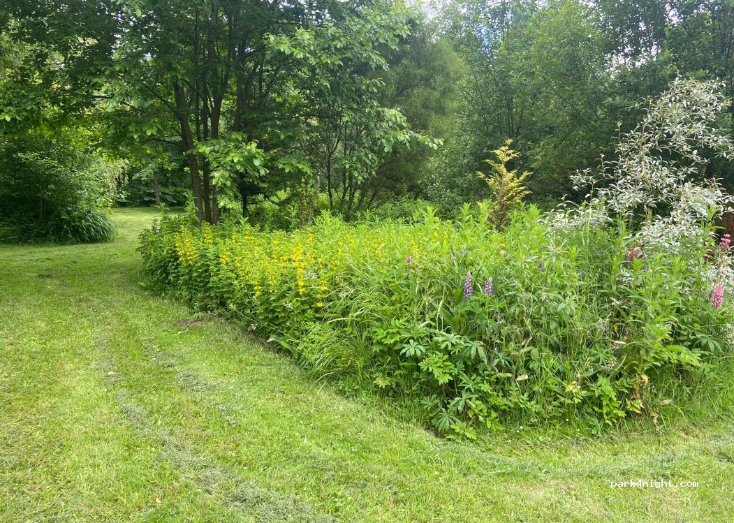 (62270) Ligny-sur-Canche - 1 Rue du Marais — foto