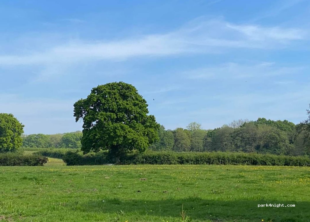 Winkleigh Farm — foto 2