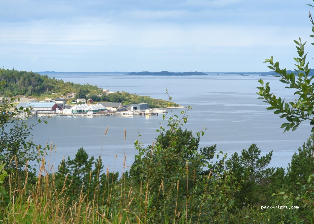 (6699) Kjørsvikbugen - 55 Primær Fylkesveg 680 — foto 4