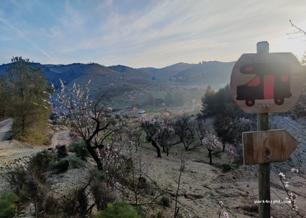 Maitreya — foto 2