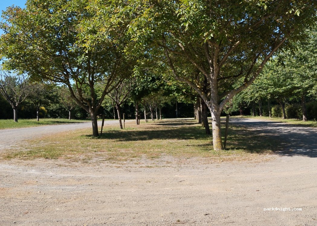 (49380) Bellevigne-en-Layon - 59 Rue du Colonel Artemieff — foto