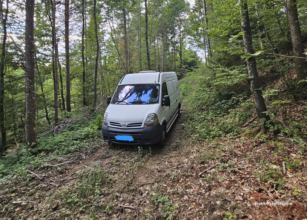 (3268) Radelfingen - — foto