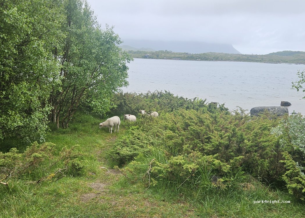 (8315) Laukvik - — foto 3