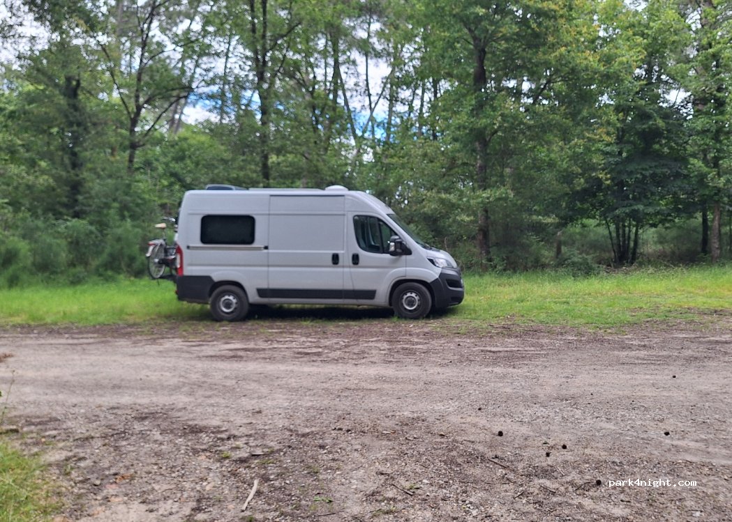 (37500) Saint-Benoît-la-Forêt - — foto