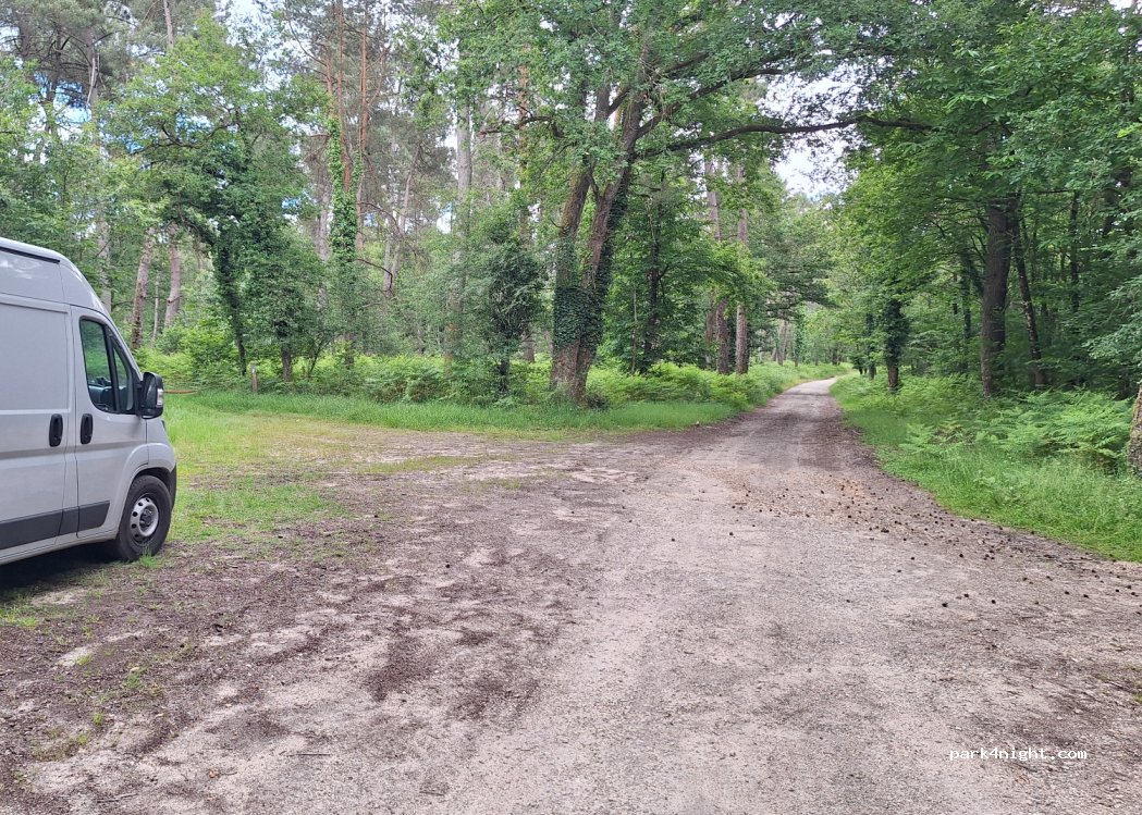(37500) Saint-Benoît-la-Forêt - — foto 2