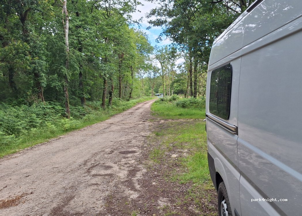 (37500) Saint-Benoît-la-Forêt - — foto 3
