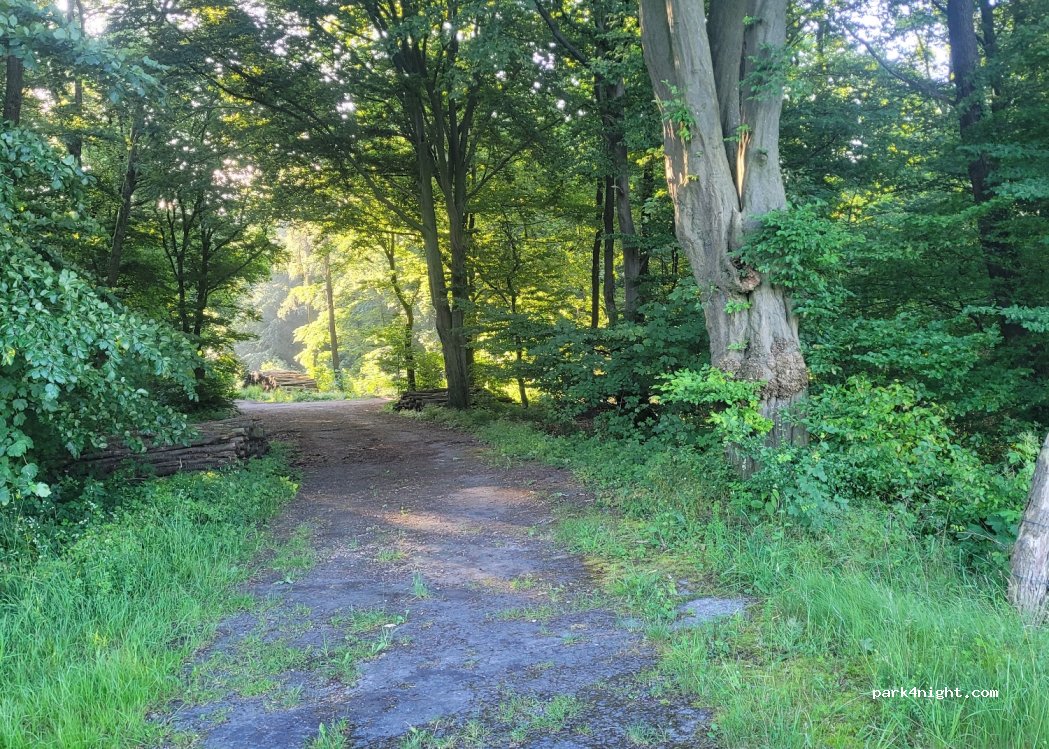 (32683) Barntrup - Oestlingstalweg — foto 4
