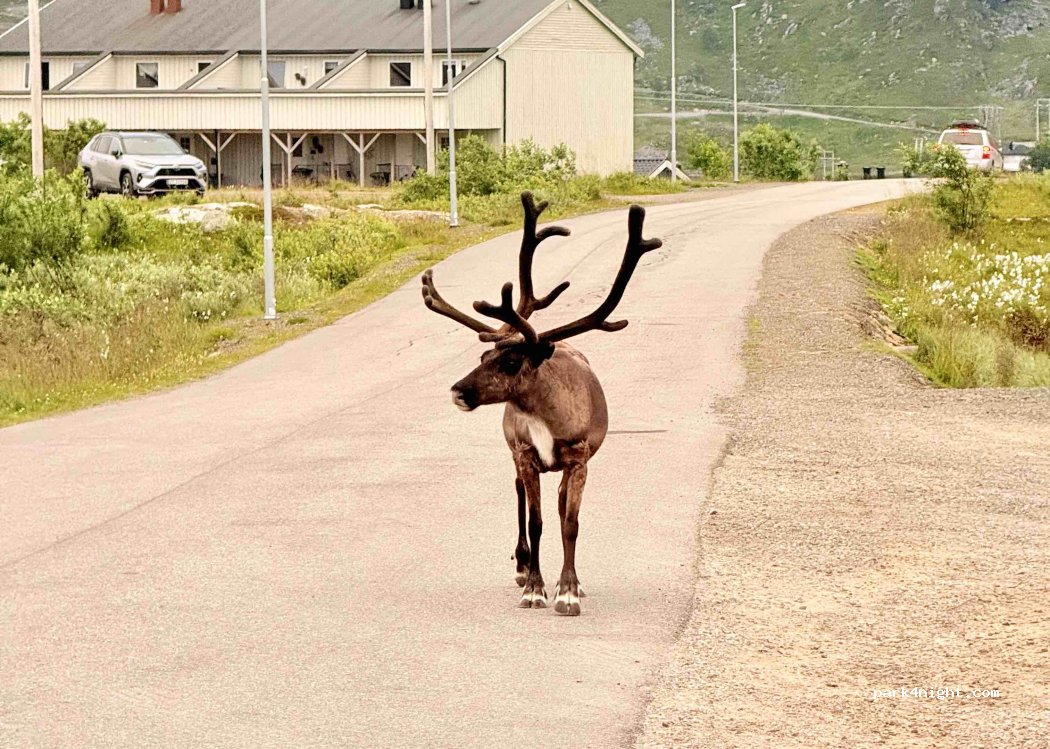 (9603) Hammerfest - 80 Turistveien — foto 4