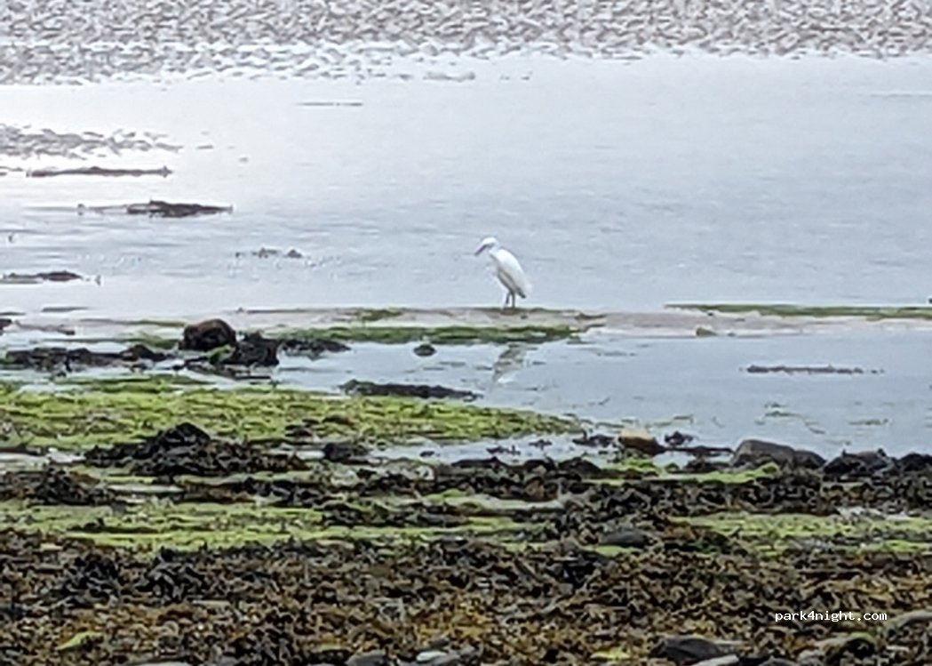 (LL54 5RA) Caernarfon - — foto