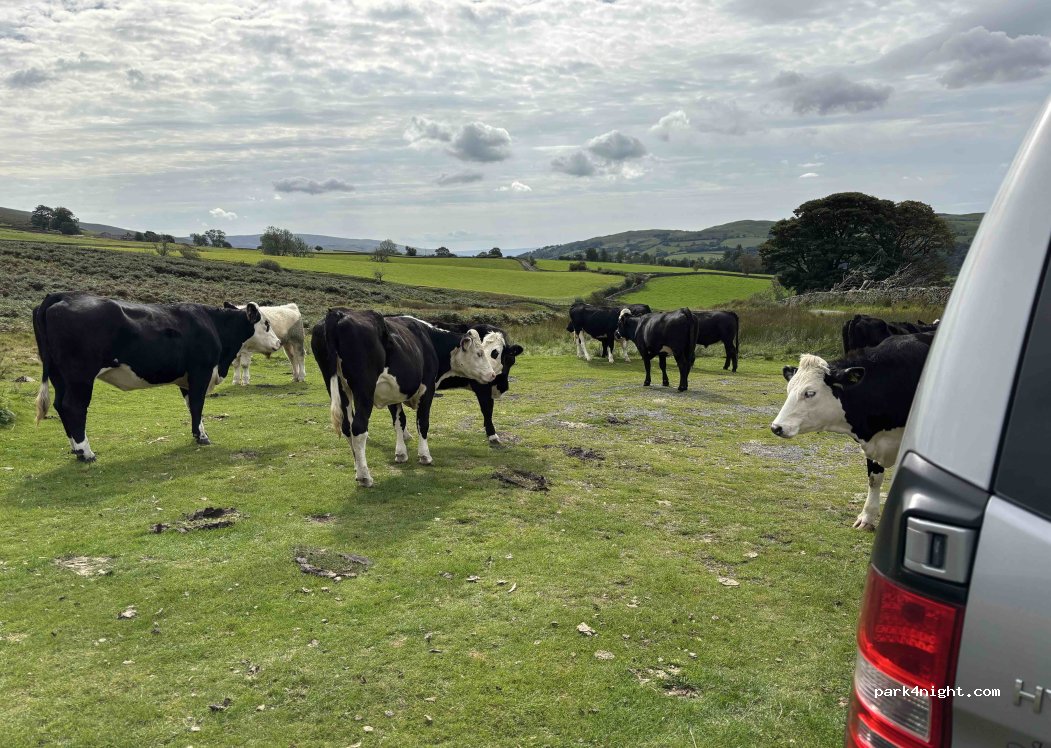 (LA8 0BT) Kendal - — foto 4