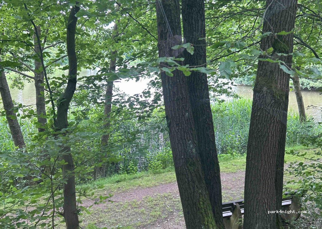 (36217) Ronshausen - Unnamed Road — foto
