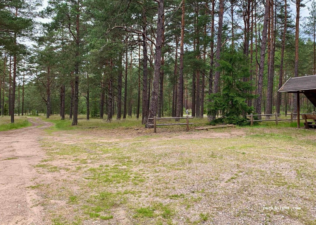 (83-406) Wdzydze - — foto