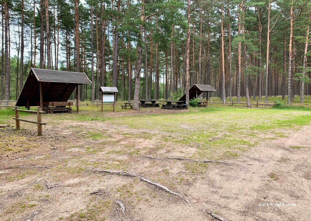(83-406) Wdzydze - — foto 2