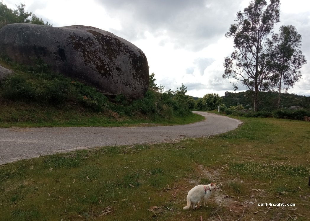 (36162) O Outeiro - — foto 2