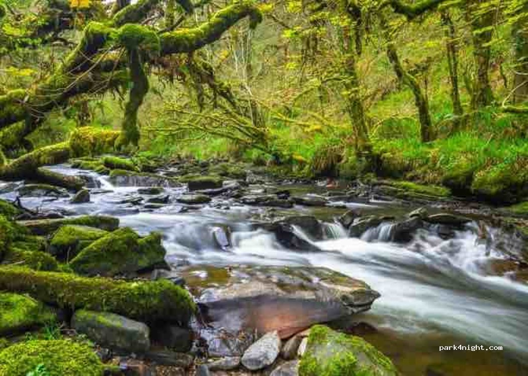 (V94 Y3XA) Clare Glens - Unnamed Road — foto