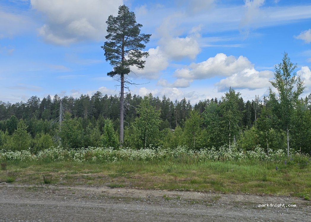 (896 93) Gideå - — foto