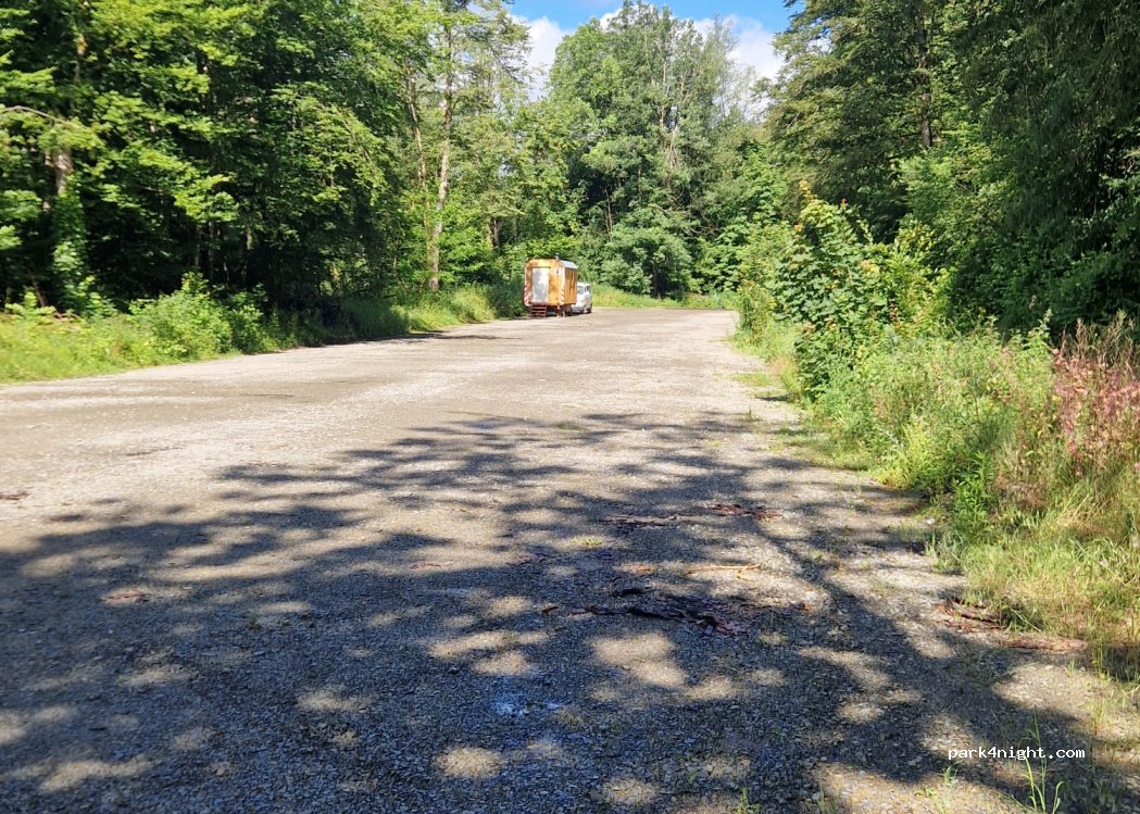 (97737) Langenprozeltener Forst - — foto 2