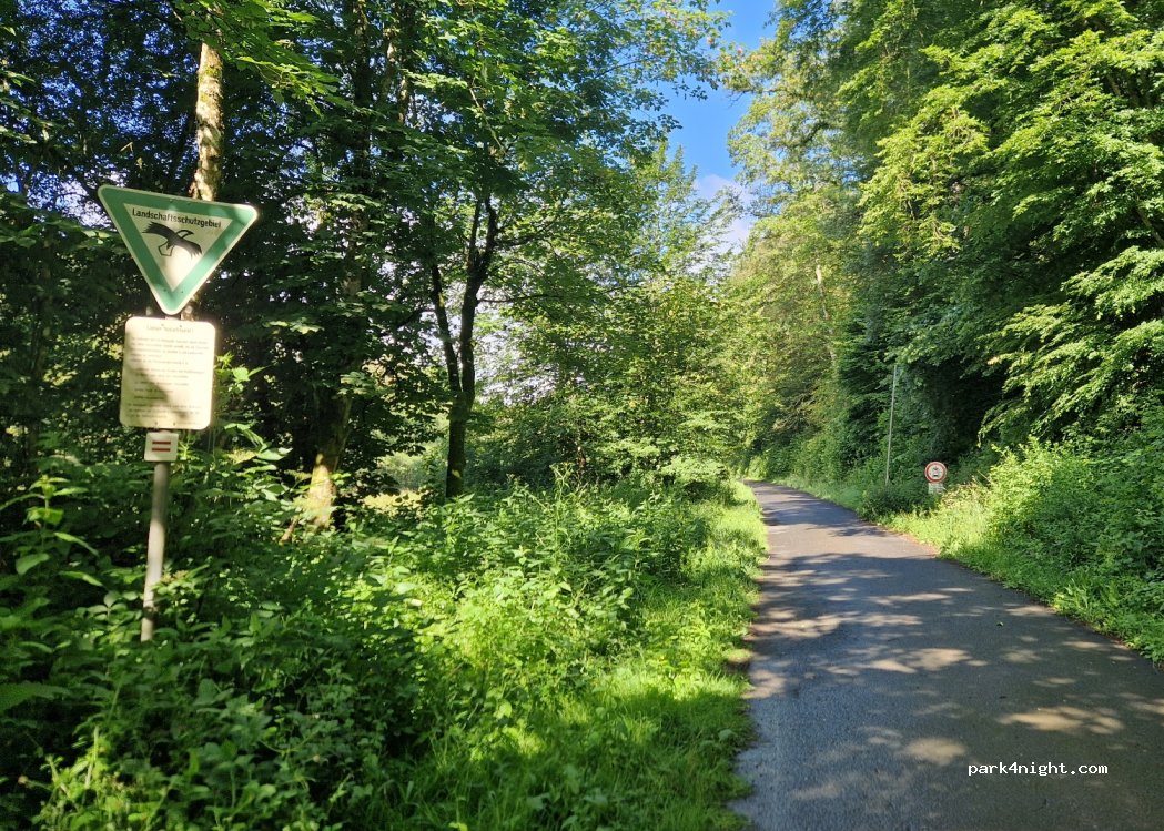 (97737) Langenprozeltener Forst - — foto 3