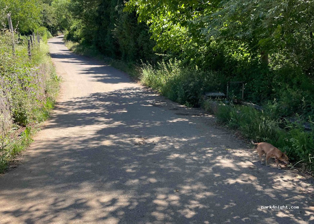 (87026) Mormanno - Unnamed Road — foto