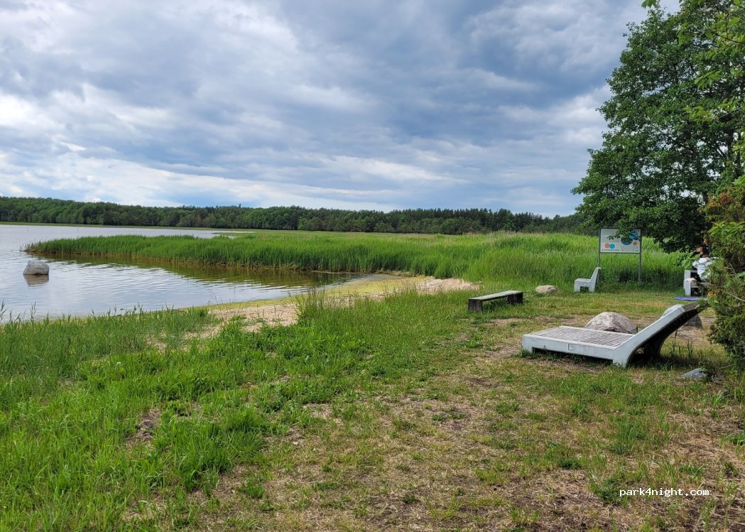 (92130) Nasva - Unnamed Road — foto 2