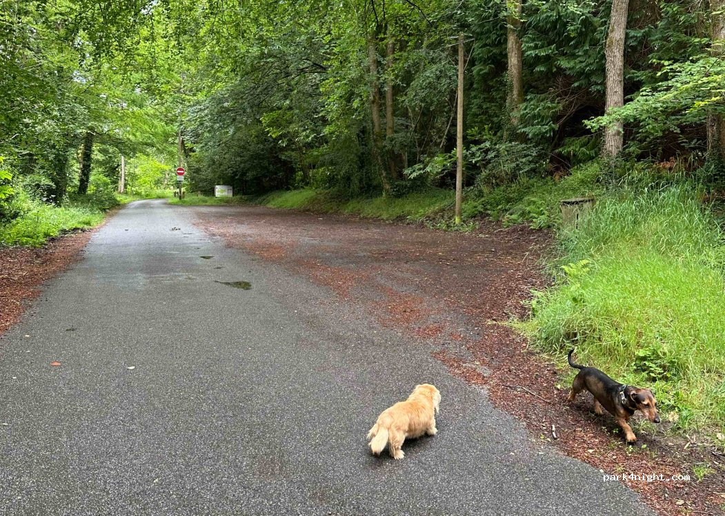 (29500) Ergué-Gabéric - Chemin de l'Écluse — foto 2