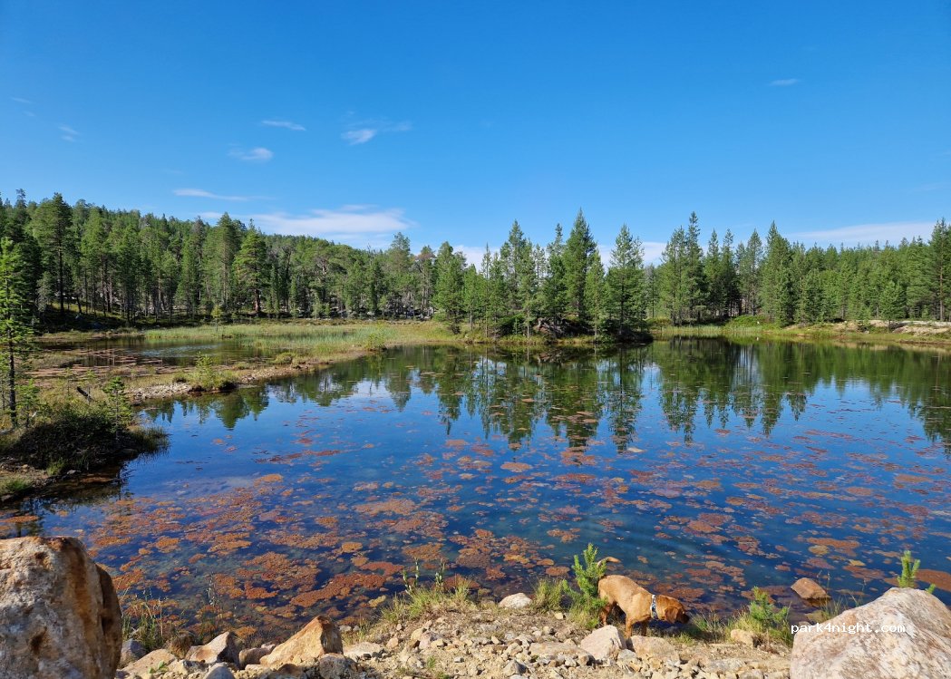 (99870) Inari - 213 Lintujärventie — foto 2
