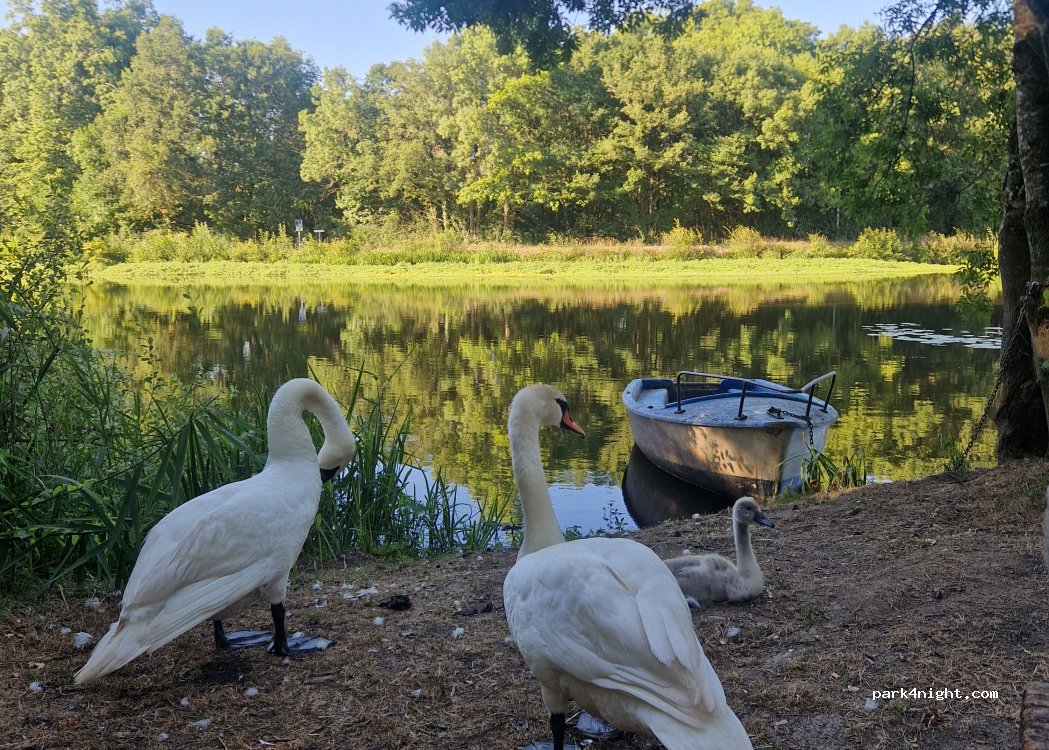 (44630) Plesse - Allée du Canal Domaine de Carheil — foto 4