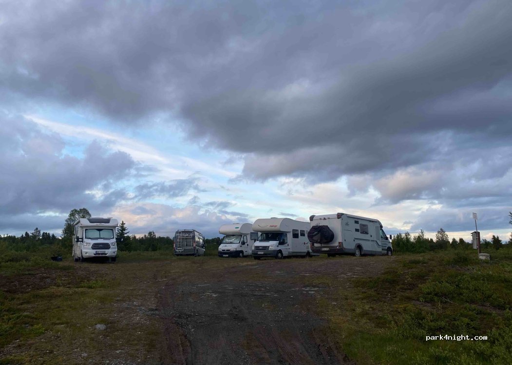 (2960) Røn - 41 Nøsasvingen — foto
