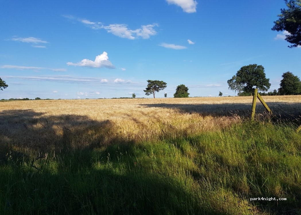 (29664) Walsrode - — foto 2