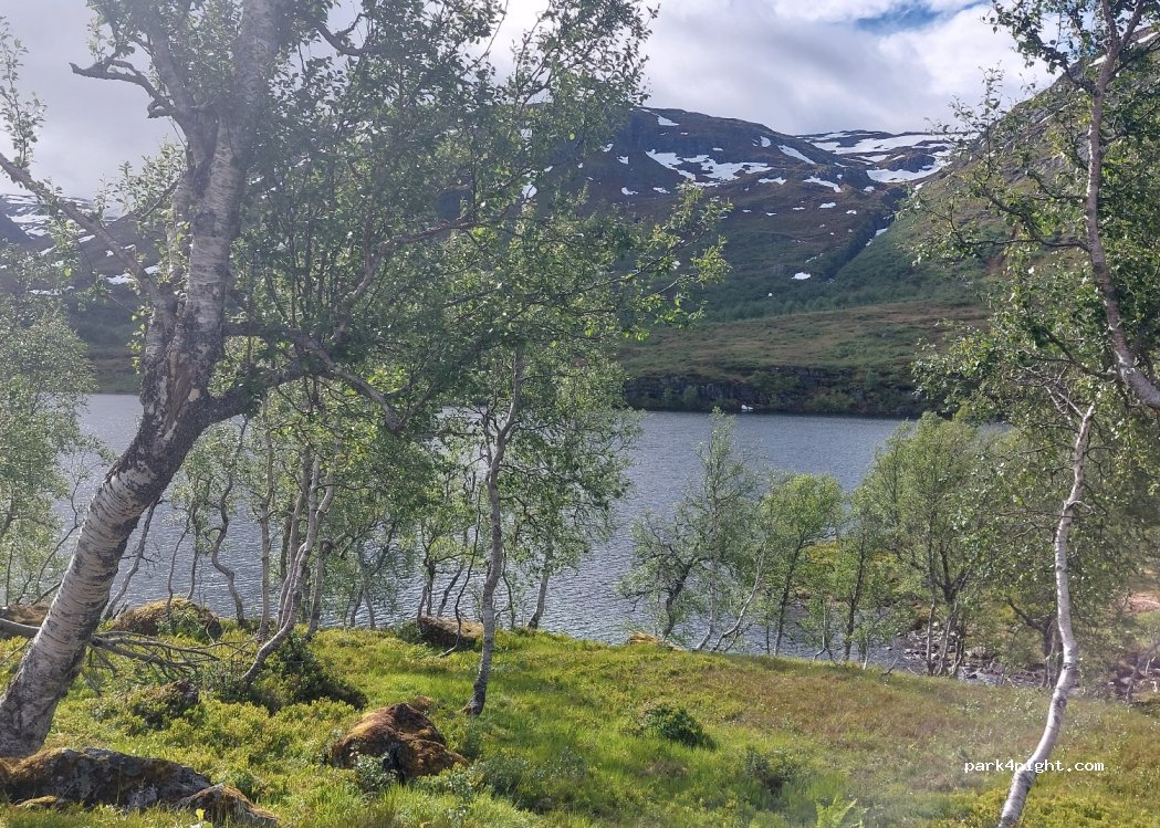 (6978) Viksdalen - 3031 Gaularfjellsvegen — foto